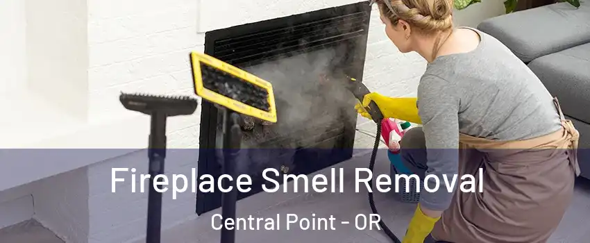 Fireplace Smell Removal Central Point - OR