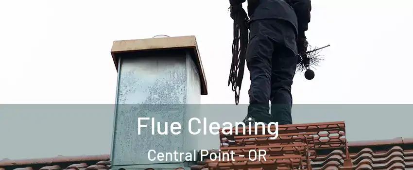  Flue Cleaning Central Point - OR