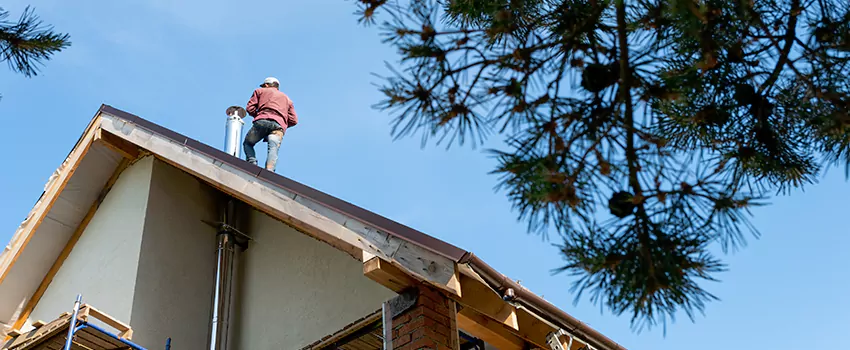 Birds Removal Contractors from Chimney in Central Point, OR