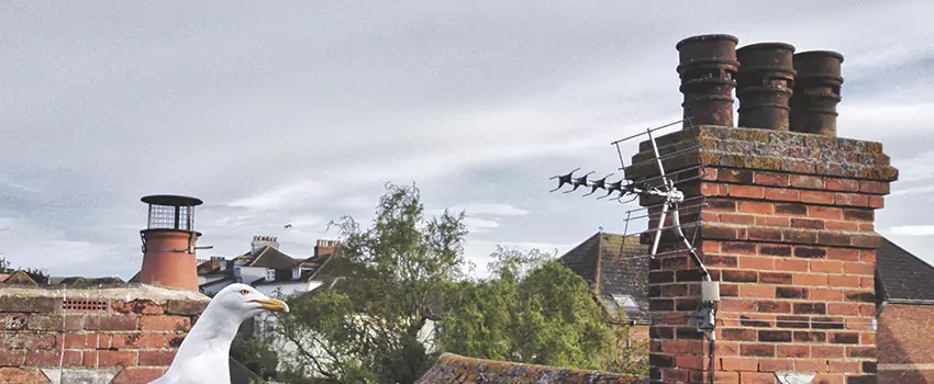 Chimney Cleaning And Restoration in Central Point, Oregon